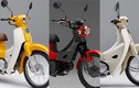 Bộ 3 xe máy “huyền thoại” Honda Super Cub sắp ra mắt